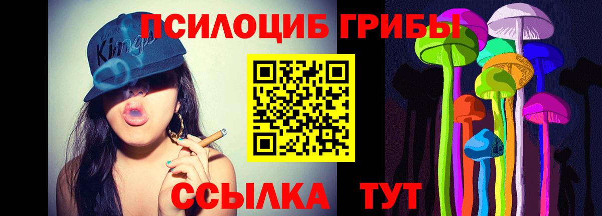 Галлюциногенные грибы Psilocybine cubensis  Вход с VPN  Галлюциногенные грибы прущие грибы  Улан-Удэ 